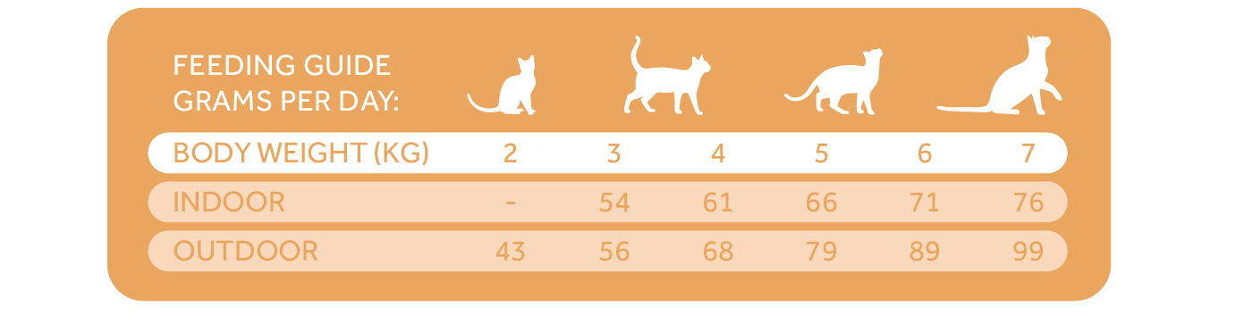 Tablas Trovetplus-31